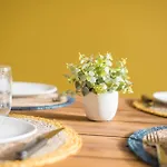 Bleu Toucan - 700m - Parking Apartman *